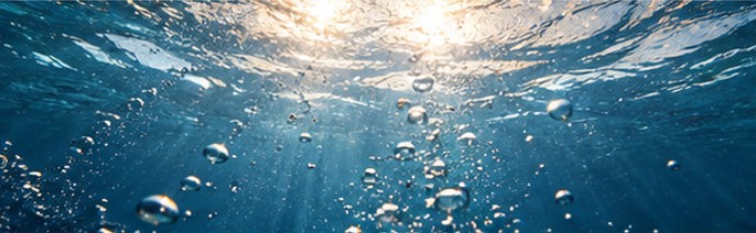 Underwater Prelude — A Quiet Pause